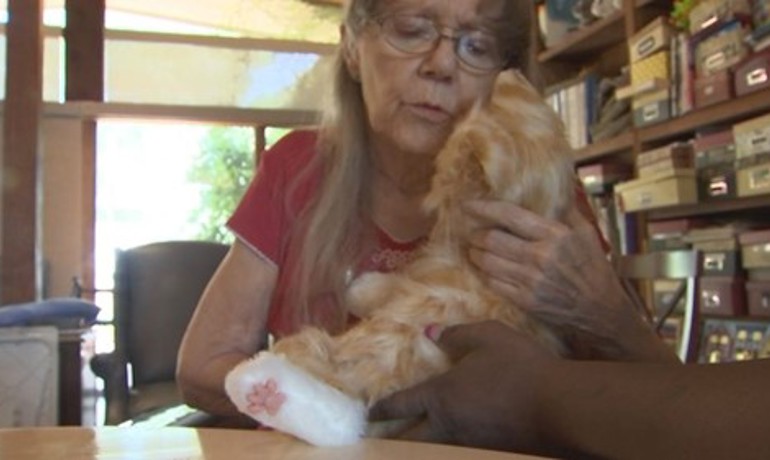 A woman interacts with a life-like mechanical cat